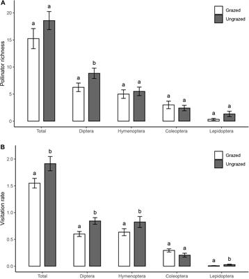 Restoration of Degraded Alpine Meadows Improves Pollination Network Robustness and Function in the Tibetan Plateau